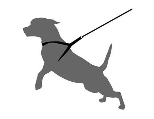 Neoprene Thickened Dog Pet Body Harness with Handle Seatbelt Dog Chest Collar Pet Shop Dog Accessories Dropship - Image 2