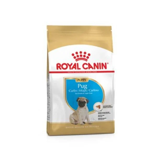 Buy Royal Canin Medium Adult Dry Dog Food | Buy Royal Canin Wholesale | Buy Royal Canin Cat Food Wholesale - Image 6