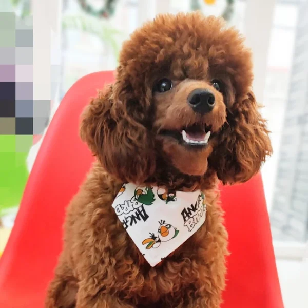 Bow Tie Design OEM Pet Accessories Various Patterns Pet Dog Bow Tie Bandana Dog Handkerchief HOANG LINH SG