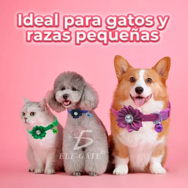Adjustable Dog Collar - Heart and Star Design - Comfortable and Cute - Fashion Accessories in Various Colors - Image 2