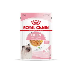 Best Quality Pet Food Wholesale Royal Canned Food | Buy Royal Canned Cat Food