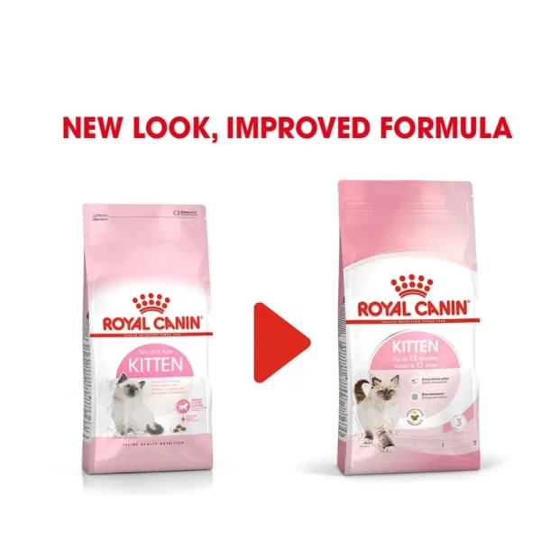 Best Quality Pet Food Wholesale Royal Canned Food | Buy Royal Canned Cat Food - Image 6