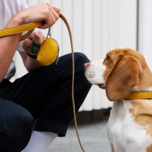 Yellow and Beige Leather Dog Leash Premium Pet Clothing Accessories