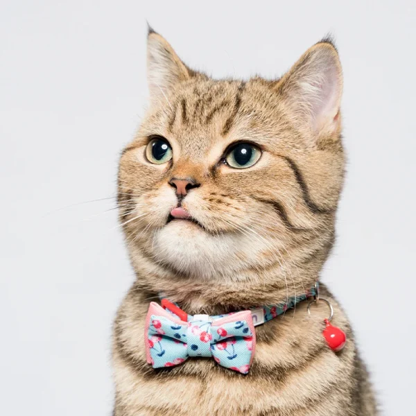 Removable Multi-Color Printed Pet Cat and Dog Bow Tie Accessories