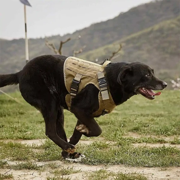 Best-Selling Dog Accessories Tactical Dog Harness with Multiple Adjustment Points Practical Multi-Function Dog Harness - Image 2