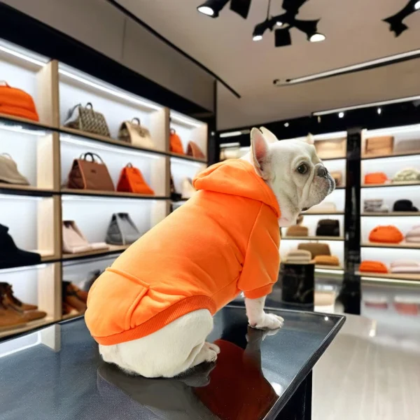 Luxury Logo Custom Hoodie Dog Clothes Multicolor Soft Fleece Warm Pet Apparel for Winter Spring-Wholesale Cheap Pet Accessories - Image 2