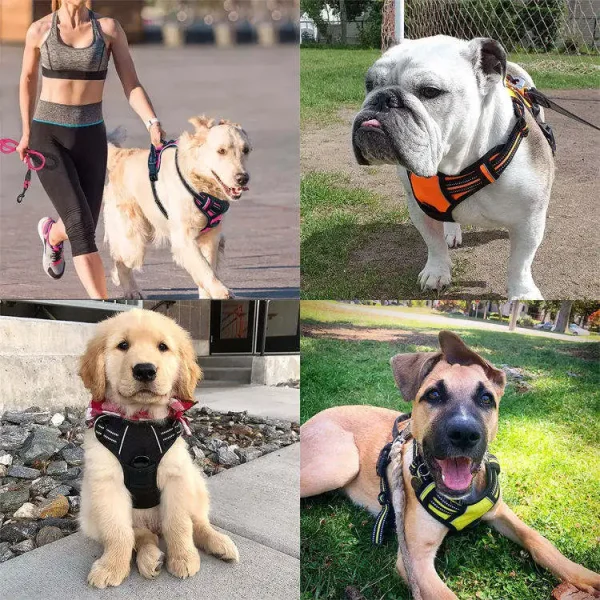 Custom Designer Dog Accessories Adjustable OEM Breathable Dog Training Harness and Leash Set - Image 3