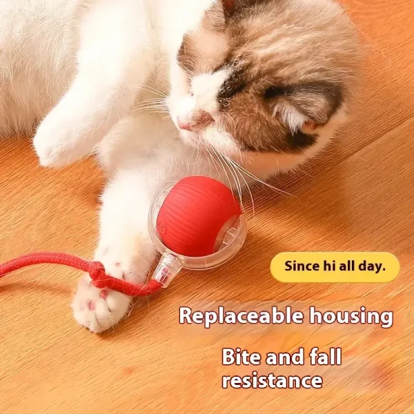 Wholesales Electric Bird Sound Smart Self-Rolling Cat Ball Automatic Moving Rechargeable Interactive Cat Toys Ball With Rope - Image 6
