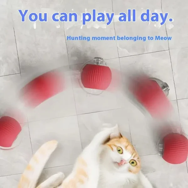 Wholesales Electric Bird Sound Smart Self-Rolling Cat Ball Automatic Moving Rechargeable Interactive Cat Toys Ball With Rope - Image 3