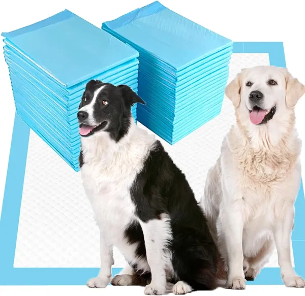 Pet Care Factory Direct Sales Large Disposable 5-layer Absorbent Dog Urine Pad Puppy Pet Training Pad Pee Pads for Dogs - Image 2