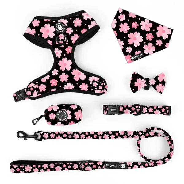Harness Dog Leash and Collar Christmas Low MOQ Dog Harness Set Match Print Blanket Pet Supplies and Dog Accessories - Image 4