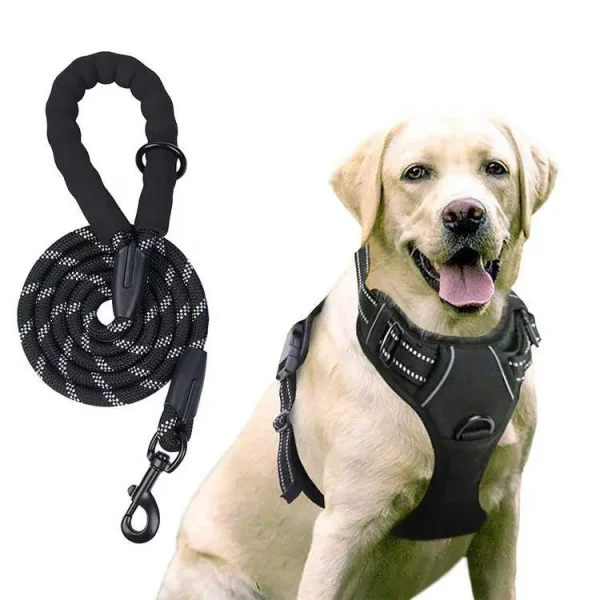Custom Designer Dog Accessories Adjustable OEM Breathable Dog Training Harness and Leash Set
