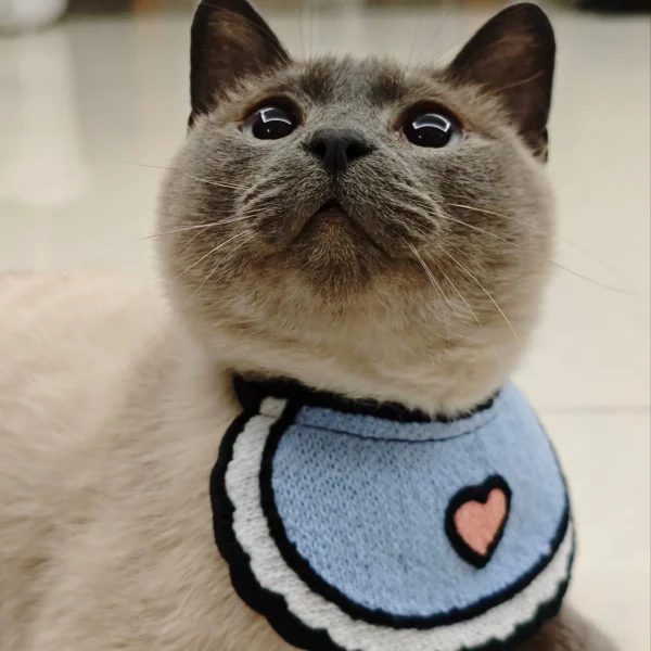 Factory Price  Wholesale Cute Pet Products   Accessories Bib Supplies Collar Cat  Dog Bandanas Scarf for Cats Dogs Puppy Kitten - Image 5