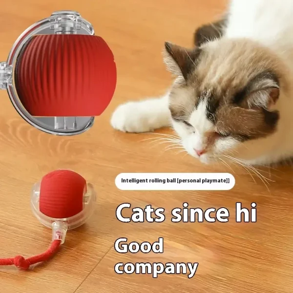 Wholesales Electric Bird Sound Smart Self-Rolling Cat Ball Automatic Moving Rechargeable Interactive Cat Toys Ball With Rope - Image 2