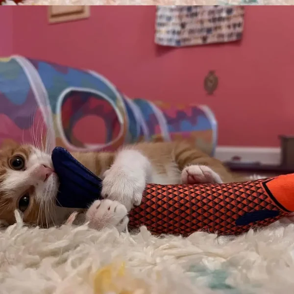 Pet Supplies Toys for Pets Fish Soft Durable Interactive Cat Kicker Toys Fish Shape Catnip Chewing Interactive Movement Toy - Image 3