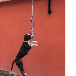 Pitbull Strong Dog Rope Toy High-Quality Durable Spring Rod