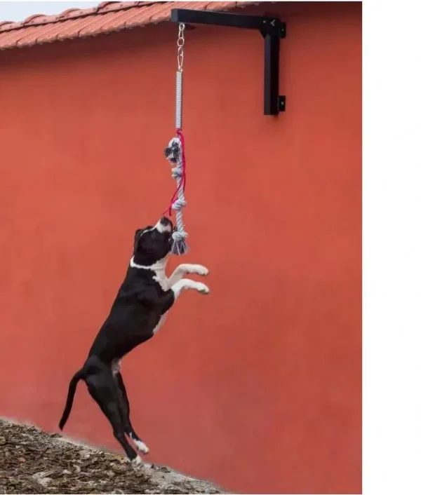 Pitbull Strong Dog Rope Toy High-Quality Durable Spring Rod