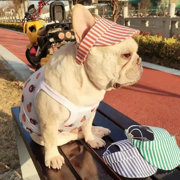 Fashion Pet Logo Hat Pet Trendy Hat High-End Dog Puppy Hat Popular Cute Dog Accessories - Image 6