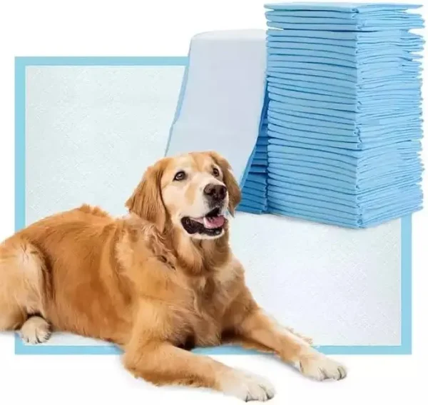 Pet Care Factory Direct Sales Large Disposable 5-layer Absorbent Dog Urine Pad Puppy Pet Training Pad Pee Pads for Dogs