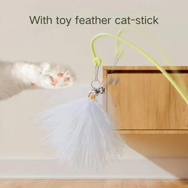 Feathers Pet Stick Funny Removable Combination Supplies Catnip Funny Tumbler Cat Pet Toys - Image 5