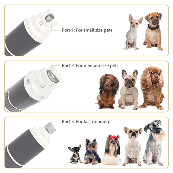 Wholesale Professional Pet Grooming Supplies Rechargeable Trimmer USB with 2-Speed Pet Clipper - Image 6