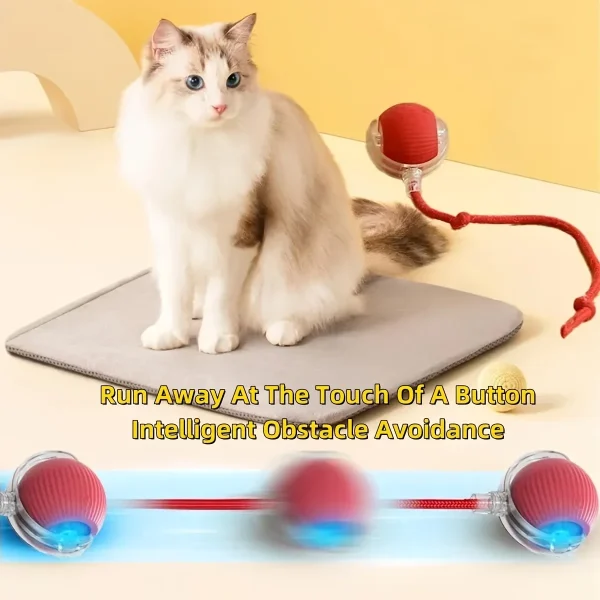 Interactive Toys Training Self-moving Catnip Toys for Cat Electric Pet Ball Automatic Rolling Ball Smart Cat Toys - Image 6