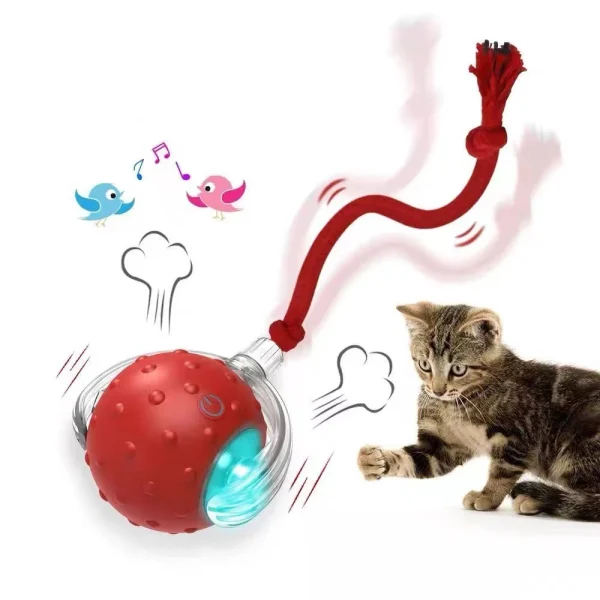 Wholesales Electric Bird Sound Smart Self-Rolling Cat Ball Automatic Moving Rechargeable Interactive Cat Toys Ball With Rope