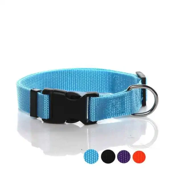 Pet Supplies Martingale Custom Pet Dog Collar with Buckle Basic Nylon Dog Collar Nylon Pet Accessories