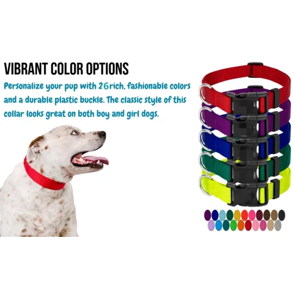 Pet Supplies Martingale Custom Pet Dog Collar with Buckle Basic Nylon Dog Collar Nylon Pet Accessories - Image 3