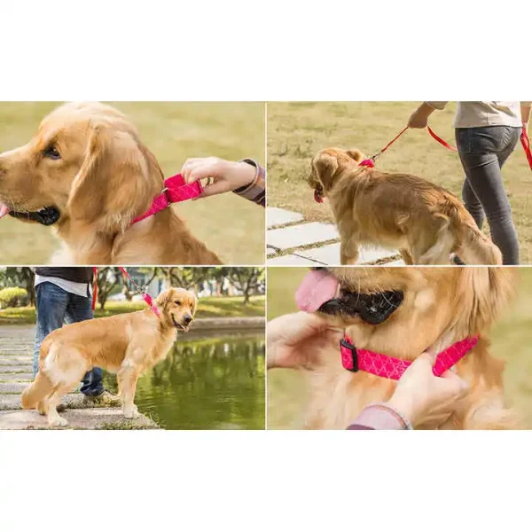 Pet Supplies Martingale Custom Pet Dog Collar with Buckle Basic Nylon Dog Collar Nylon Pet Accessories - Image 4