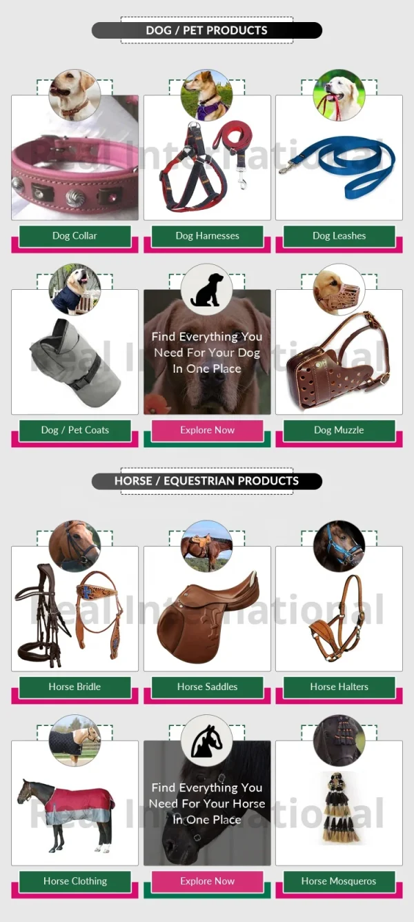 Hot-Selling Dog Accessories Pure Leather Material Dog Collar and Leash with Studded Decoration - Image 3