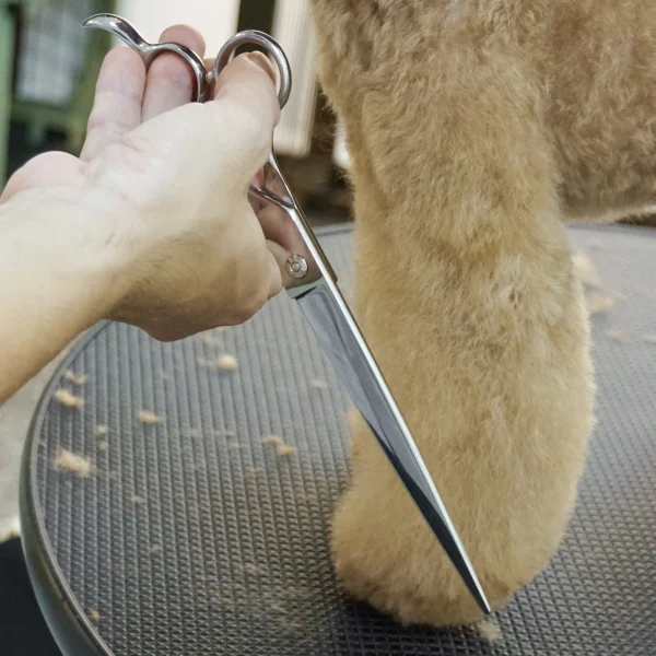 Professional Pet Grooming Kit Stainless Steel Cat and Dog Scissors Amazon Hot Pet Shears and Cleaning Supplies