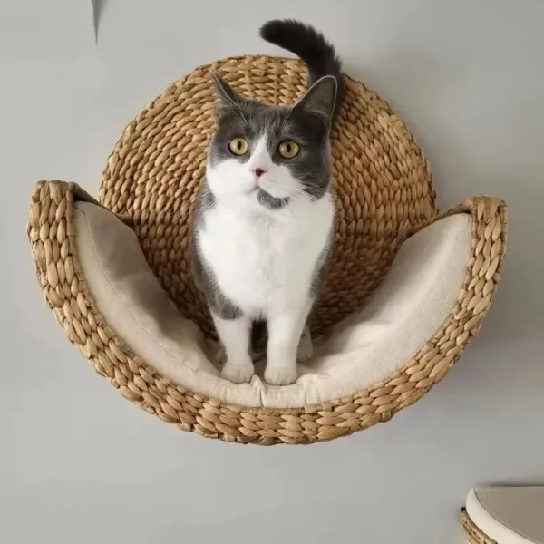 Hyacinth Water Cat Basket Nest Four-Season Scratcher Eco-friendly Pet Bed and House Washable - For Dogs - Image 3