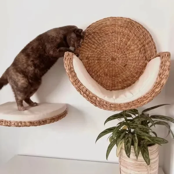 Hyacinth Water Cat Basket Nest Four-Season Scratcher Eco-friendly Pet Bed and House Washable - For Dogs - Image 2