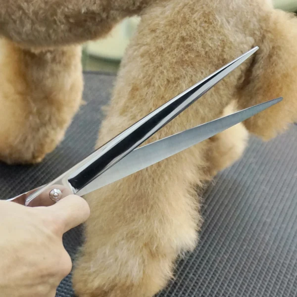 Professional Pet Grooming Kit Stainless Steel Cat and Dog Scissors Amazon Hot Pet Shears and Cleaning Supplies - Image 5